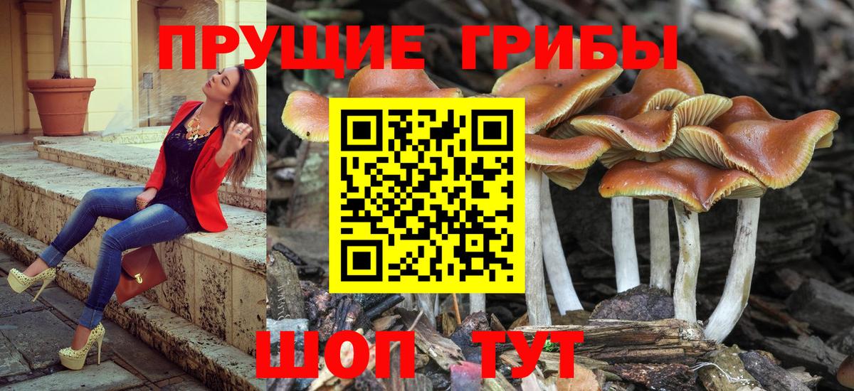 Псилоцибиновые грибы мицелий  Вход с VPN  Великий Устюг 